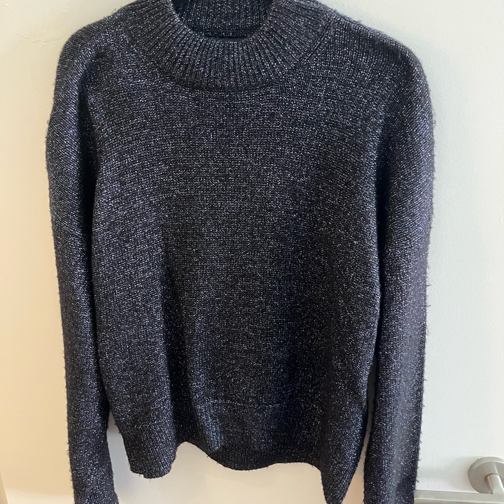 Women’s Zara Sparkly Sweater